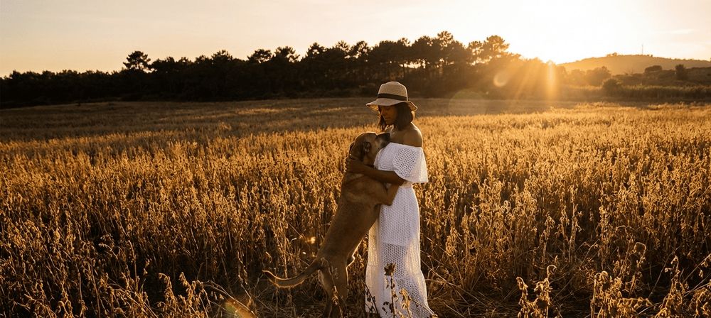Frau umarmt ihren Hund in einem goldenen Feld bei Sonnenuntergang